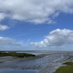 Een mini-excursie naar schorren en slikken