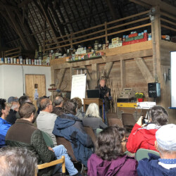 Hoe zijn de kreken in Oost-Zeeuws-Vlaanderen veranderd tussen 1975 en 2022?