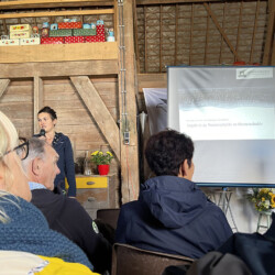 De invloed van strekdammen op de lokale natuur