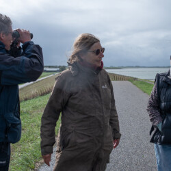 Mini-excusie met uitleg over de vijf strekdammen en hun bezoekers